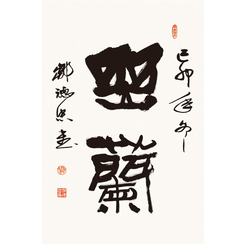 �޵��� ����